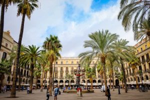 Placa Reial 