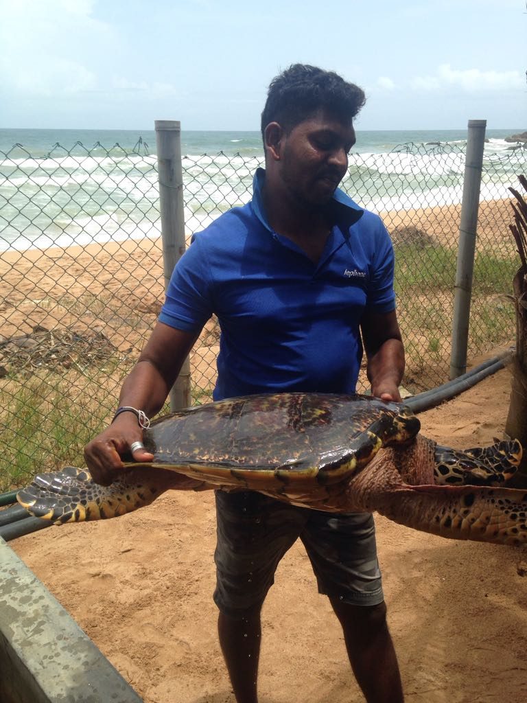 Sri Lanka