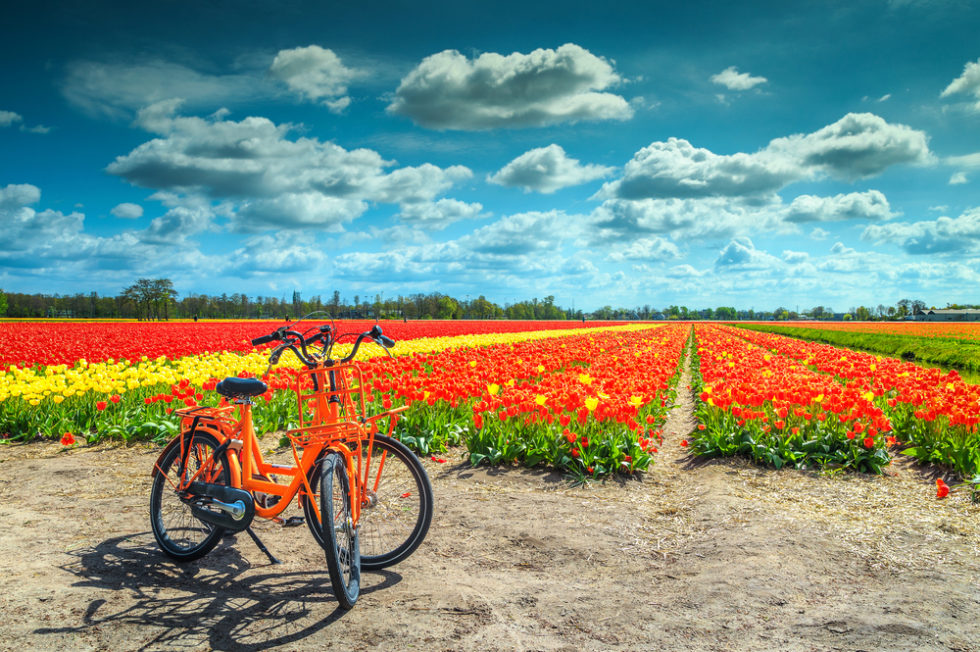 De leukste voor een midweek weg in - Reistips.nl