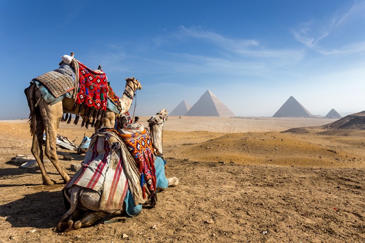Reizen naar Egypte, dit moet je meenemen