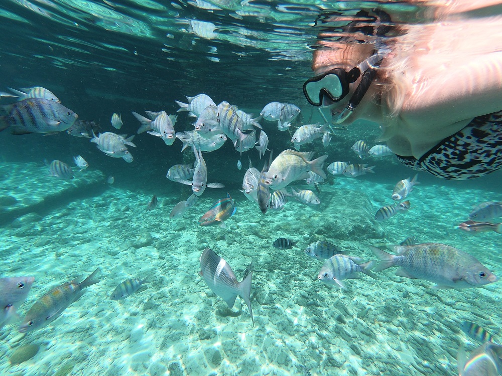 Snorkelen op Bonaire – De mooiste snorkelplekken
