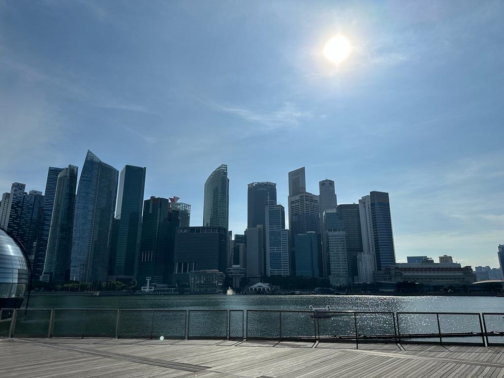 5x wat te doen in Singapore